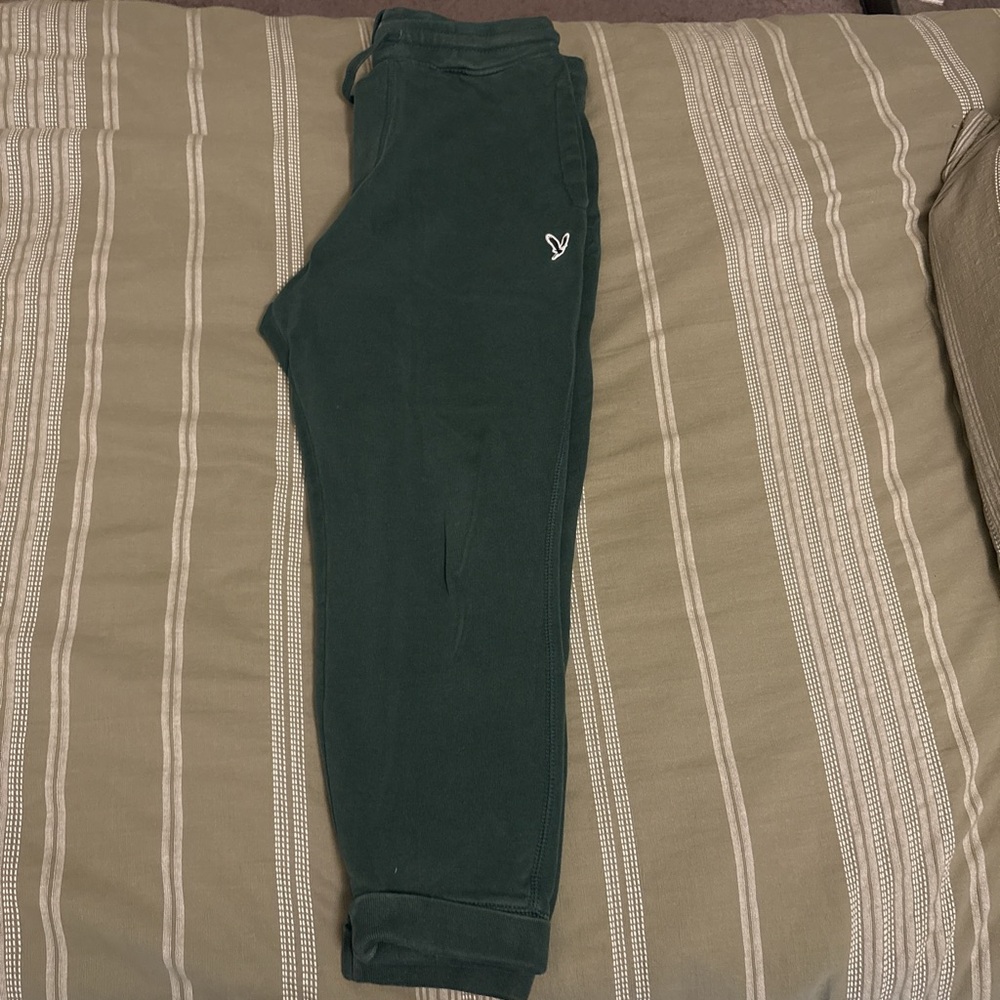 American Eagle Outfitters Super Soft Green Joggers